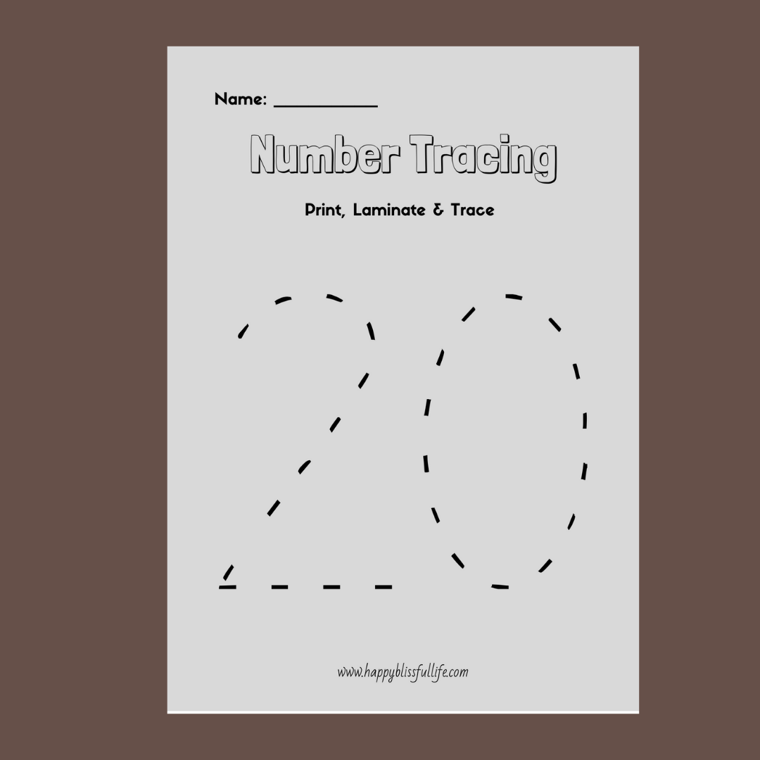 Numbers Traceable Workbook